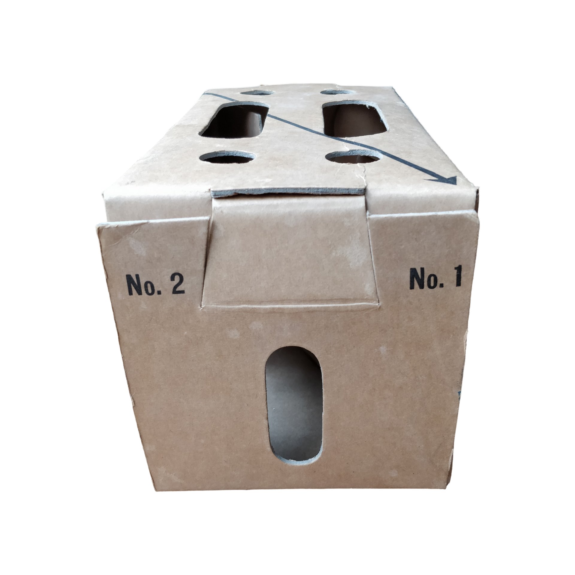 WWII US Pigeon Carrier Container — image 2