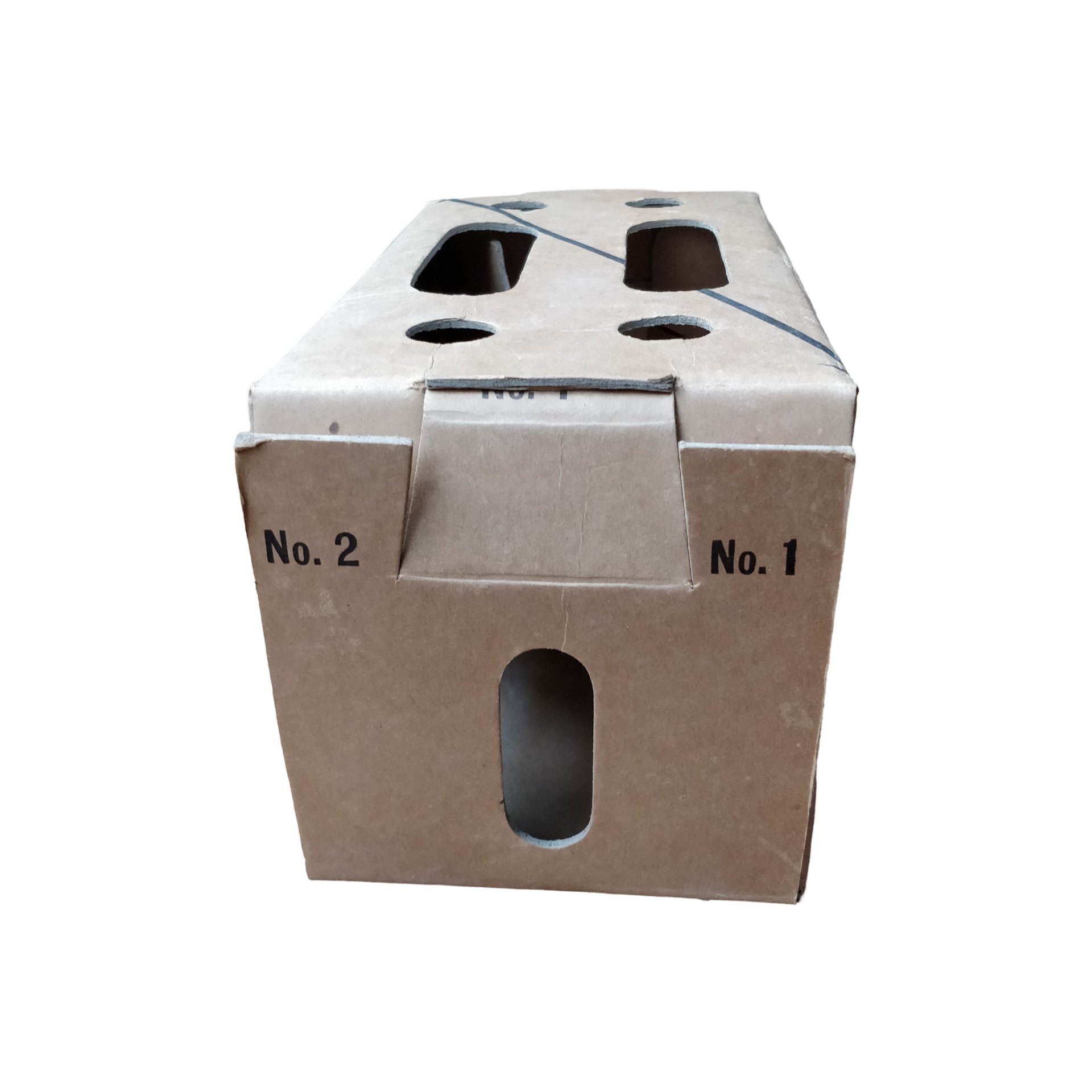 WWII US Pigeon Carrier Container — image 4