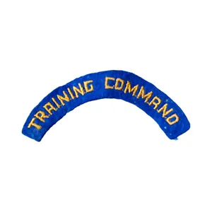 WWII USAAF Training Command Patch Felt