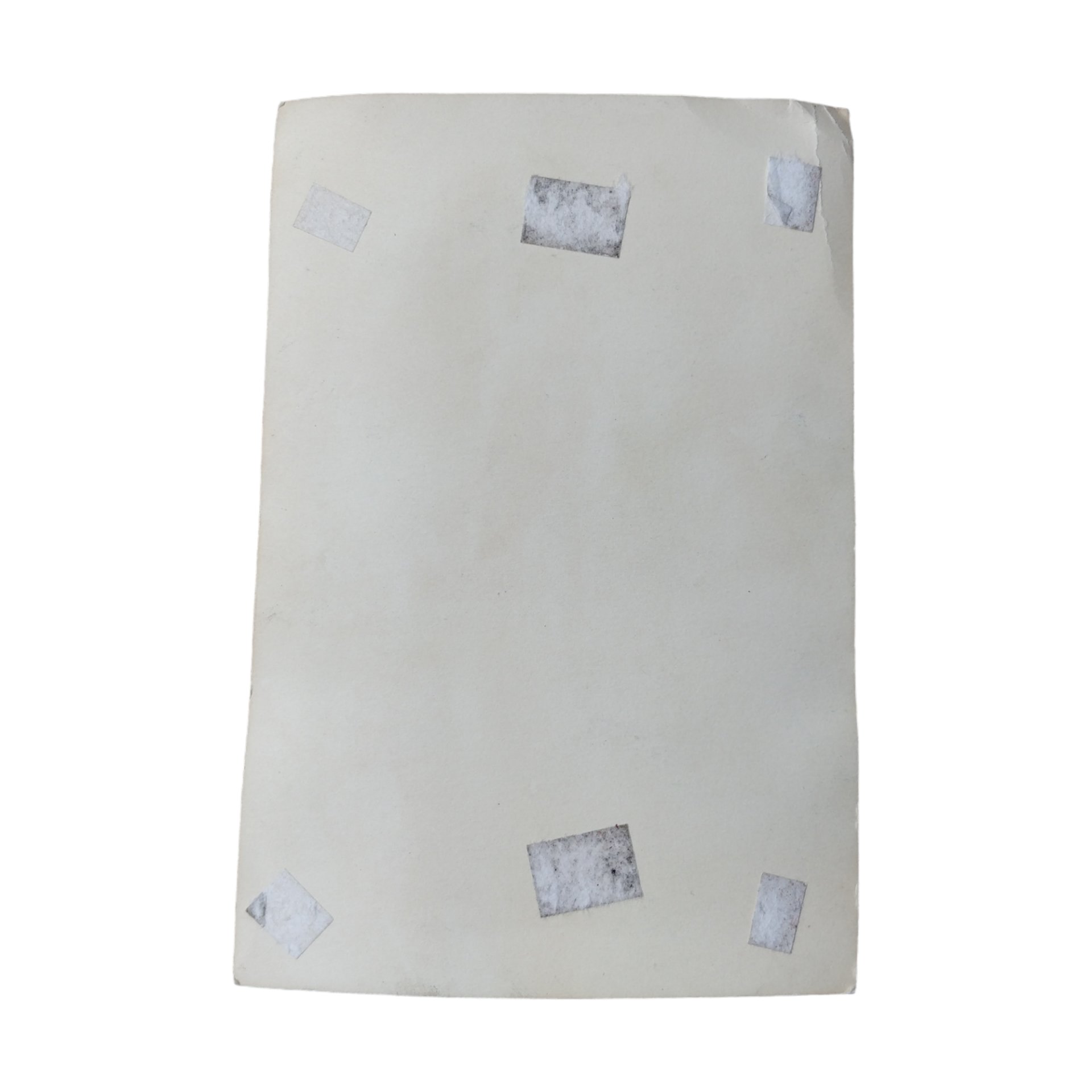 WWII German Portrait Photograph NCO — image 2