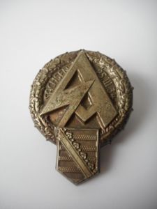 S.A. SACHSEN DAY BADGE.