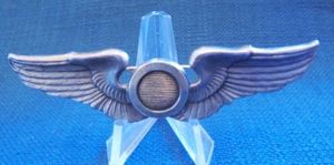 WWII USAAF Observers 3' wings
