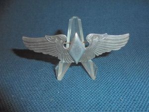 W.A.S.P. '1974 reunion' Wings