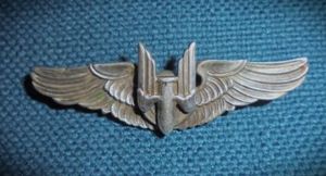 USAAF Ariel Gunner 2' wings Sterling Amico