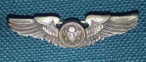 USAAF Air Crew shirt size wings