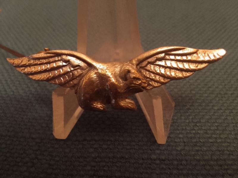 RARE! 'Guinea pig club wings' — image 2