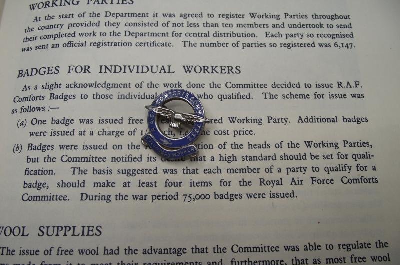 Royal Air Force Comforts Committee Voluntary Workers Badge. — image 3