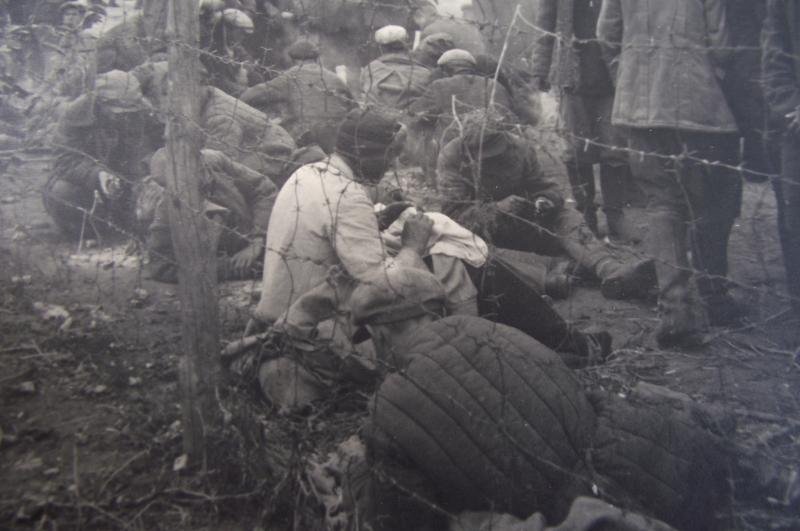 8 X Russian POW Photos. — image 5