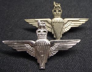 2 X British Para Cap Badges.