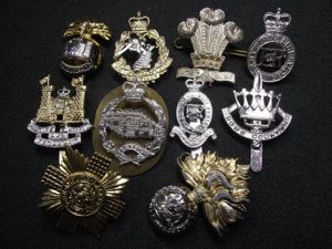 10 X British Military Anodised Regimental Cap Badges.