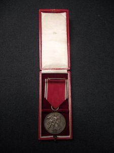 WW2 German Boxed 1938 Entry into Austria Anschluss Medal