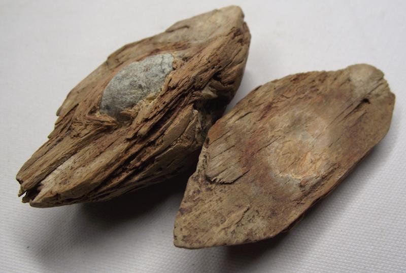 U.S.Civil War Ball Shot Relic. Tree Find. — image 2