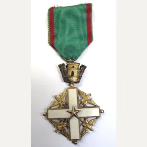 Order of Merit of the Italian Republic.