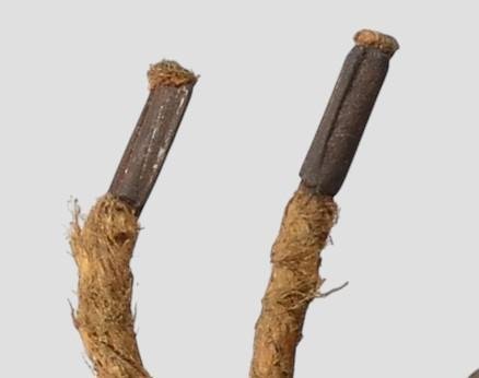 WW1 Austro-Hungarian German Made Steel Helmet — image 16