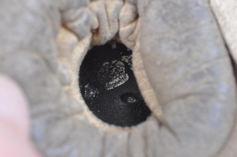 WW2 British RAF B Type Flying Helmet 1940 - With Cheek Protectors & Rubber Earcups — image 7