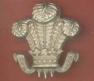 10th Royal Hussars JNCO's arm badge