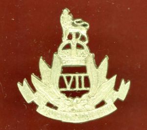 Indian Army 7th Rajput Regiment cap badge