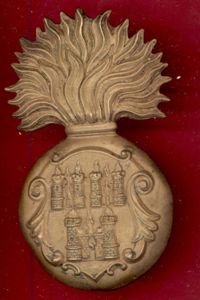 Irish. Royal Dublin Fusiliers Victorian OR's glengarry badge