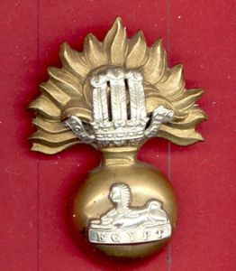 Indian Army 102nd King Edward's Own Grenadiers pagri badge