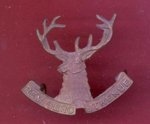 New Zealand 10th Nelson Mounted Rifles cap badge