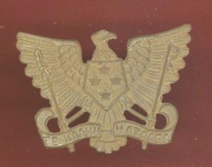 New Zealand 3rd Auckland Mounted Rifles cap badge