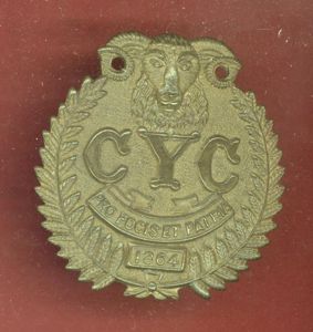 New Zealand 1st Mounted Rifles WW1 cap badge