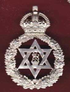 Trinadad Police helmet plate