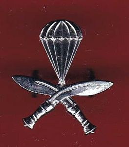 Gurkha Parachute Company beret badge