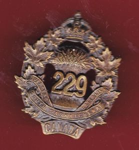 Canadian 229th South Saskatchewan Bn. WW1 CEF cap badge
