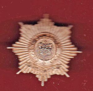 Guards Depot WRAC staybright cap badge