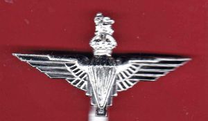 The Parachute Regiment King's Crown staybright beret badge
