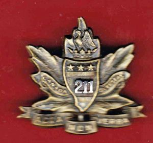 Canadian 211th Alberta Americans Bn. Officer's Cap Badge