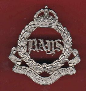 The Queen's Bays 2nd Dragoon Guards NCO's arm badge
