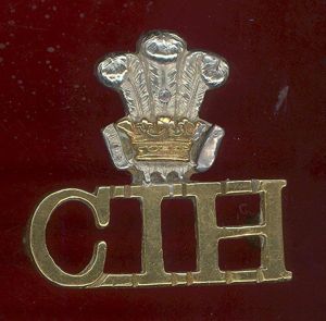 Indian Army C.I.H. Central India Horse shoulder title