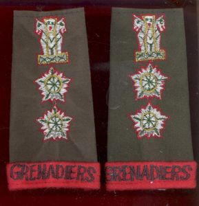 Indian Army Grenadiers Regiment Colonel Rank Slip on