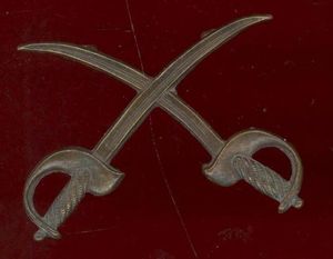 Gymnastic Instructor trade arm badge