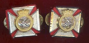 The Duke of Edinburgh's Royal Regiment Officer's collar badges