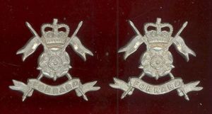 Queen's Own Yorkshire Yeomanry OR's collar badges