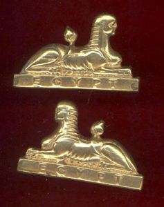 The 96th of Foot Manchester Regiment Victorian OR's collar badges