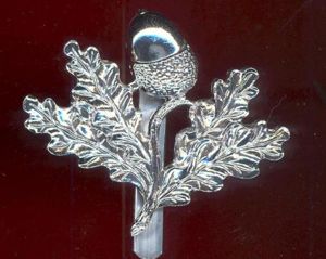 South Nottinghamshire Hussars staybright cap badge