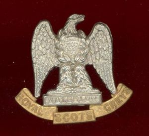 Scottish Royal Scots Greys OR's cap badge