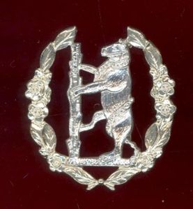 Queen's Own Warwickshire & Worcestershire Yeomanry staybright cap badge