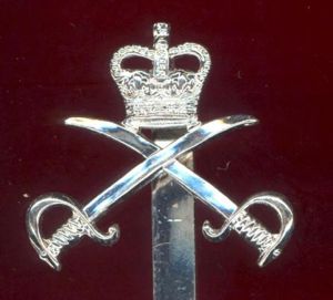 Army Physical Training Corps cap badge