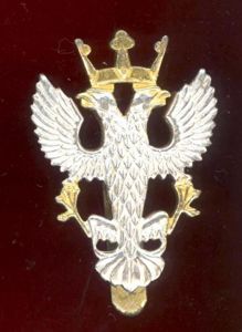 The Mercian Regiment Officer's / All Ranks dress cap badge