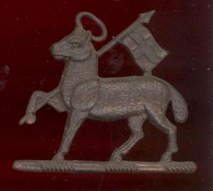 Queen's Royal Regiment (West Surrey) Officer's OSD cap badge.