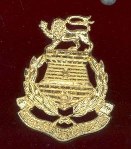 Singapore Military Forces staybright cap badge