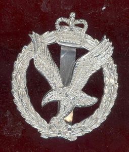 Army Air Corps staybright cap badge