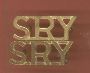 S R Y Sherwood Rangers Yeomanry shoulder titles