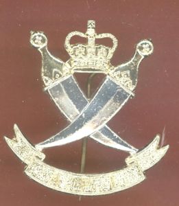 Aden Protectorate Levies staybright cap badge