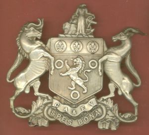 South Africa Cape Artillery and Engineer Volunteers Victorian helmet plate